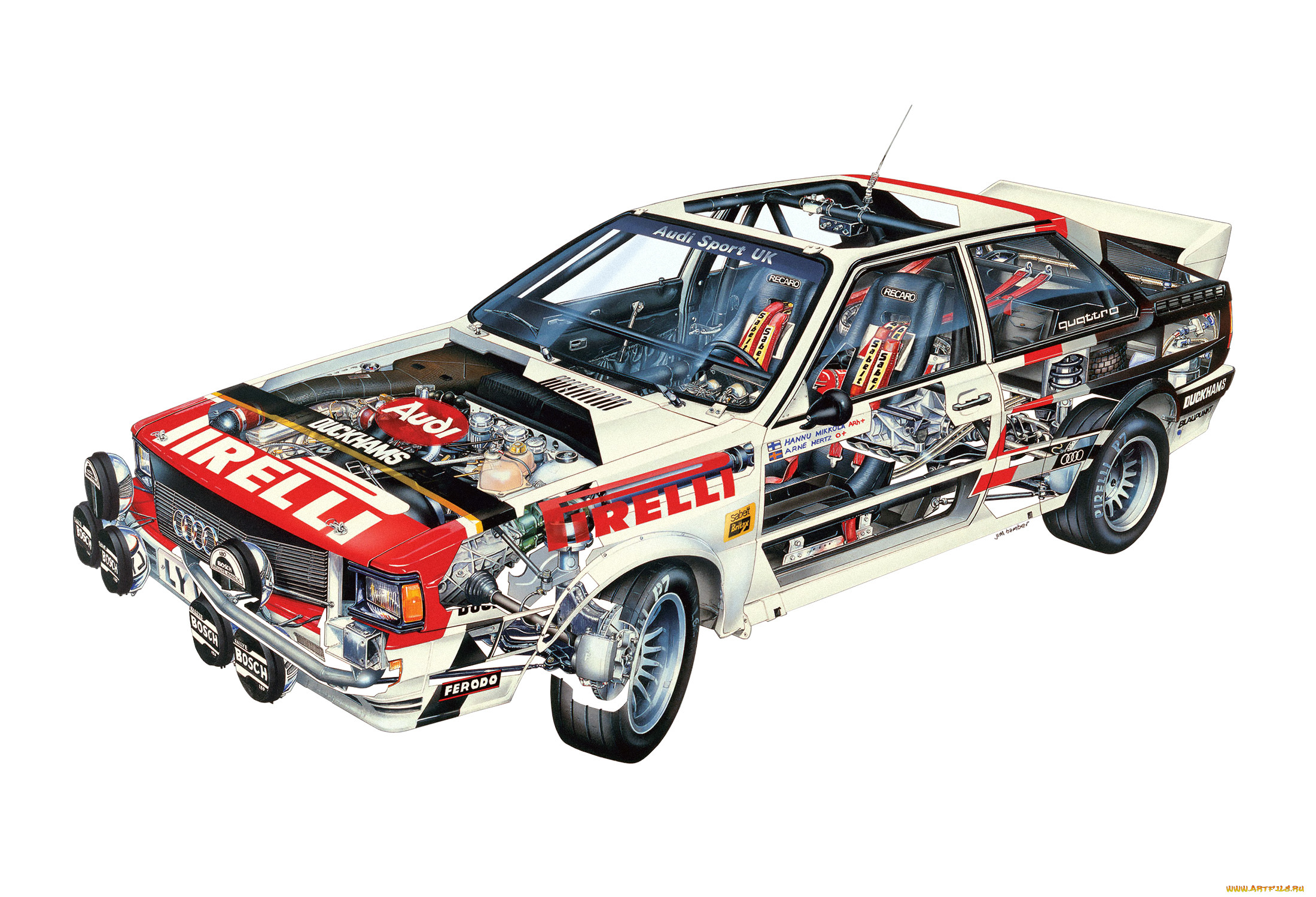 audi quattro sport cutaway